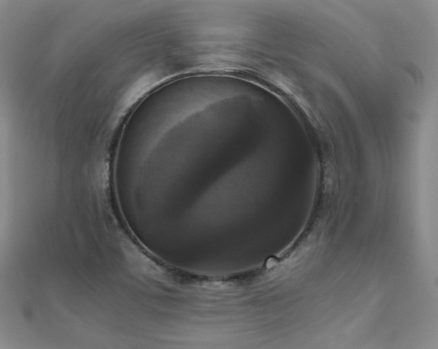 X0000110711459200906121344