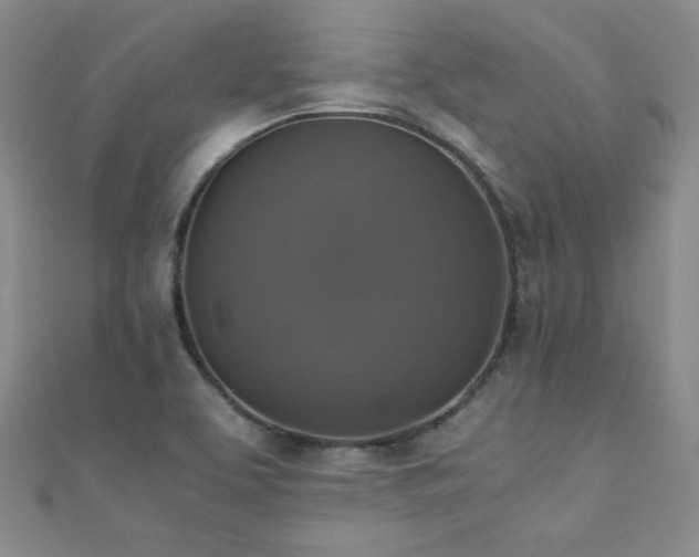 X0000110711463200906121344