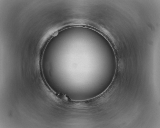 X0000110711464200906121344