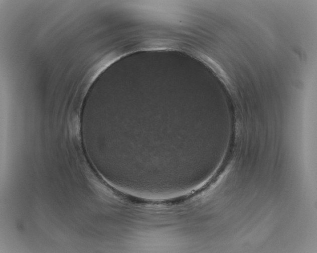 X0000110711465200906121344