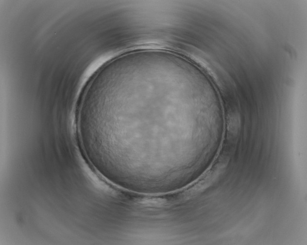 X0000110711466200906121344
