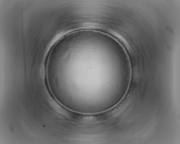 X0000110711467200906121344