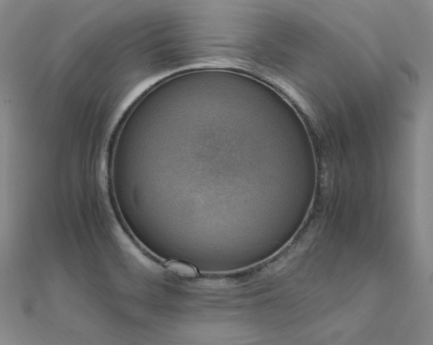 X0000110711468200906121344