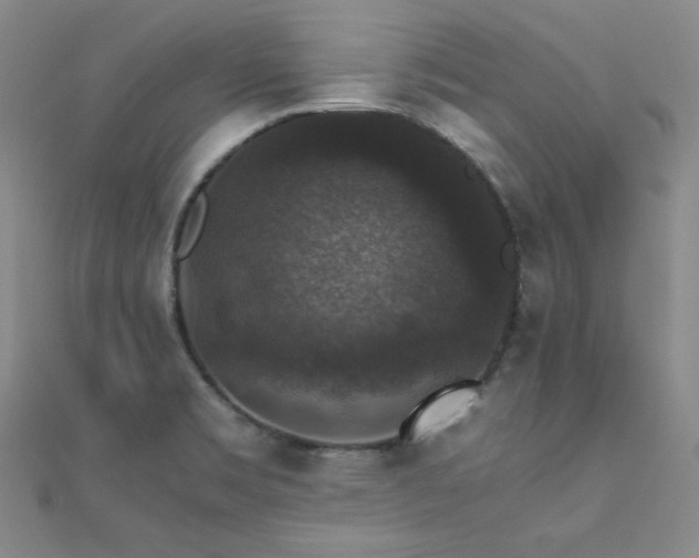 X0000110711469200906121344