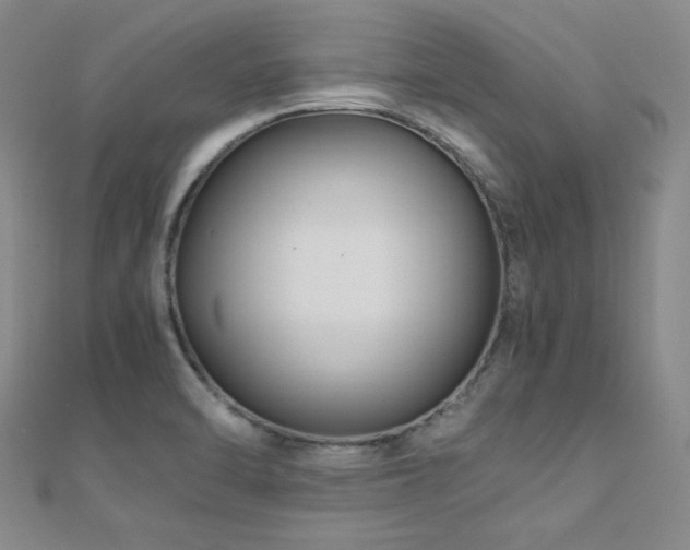 X0000110711470200906121344