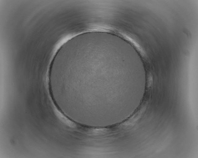 X0000110711471200906121344