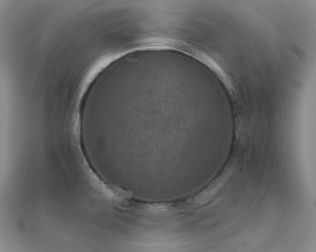 X0000110711472200906121344