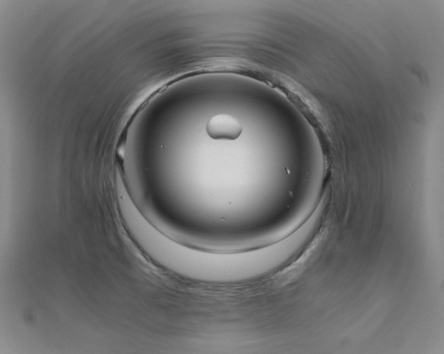 X0000110711473200906121344
