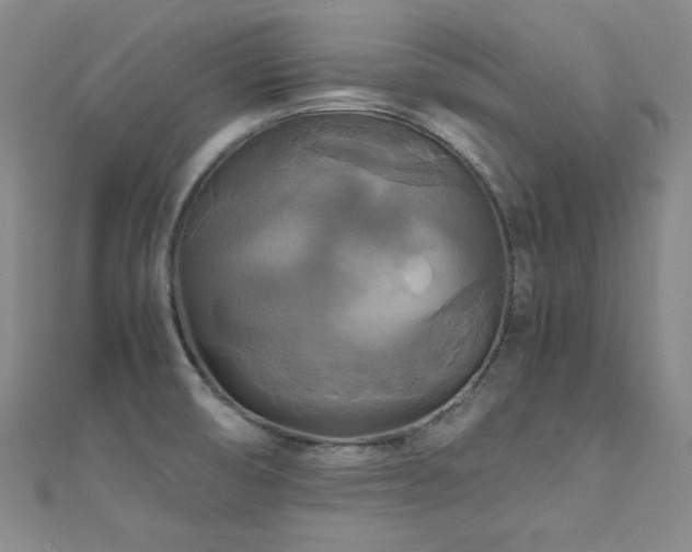 X0000110711474200906121344