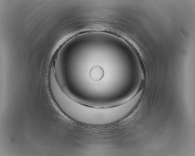 X0000110711477200906121344