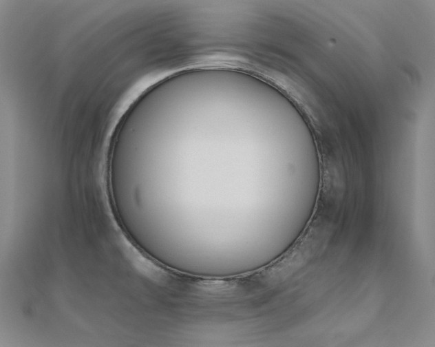 X0000110711478200906121344