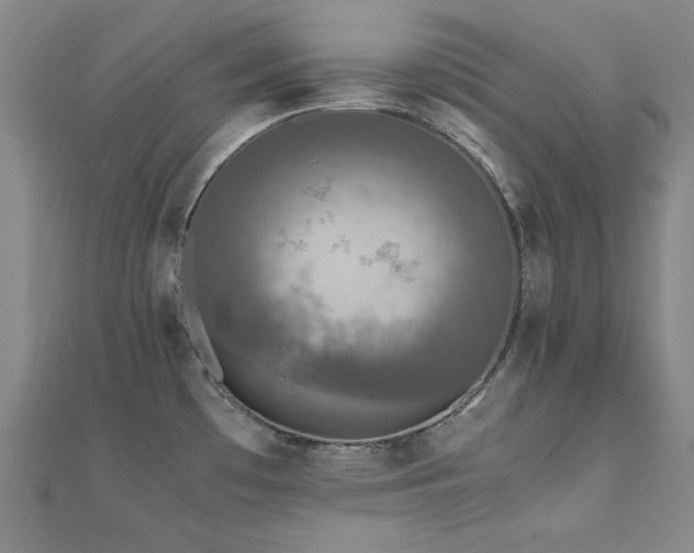 X0000110711481200906121344