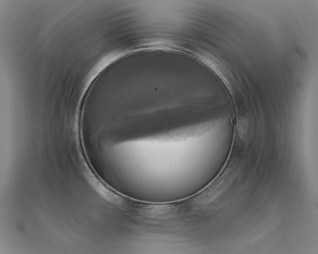 X0000110711482200906121344