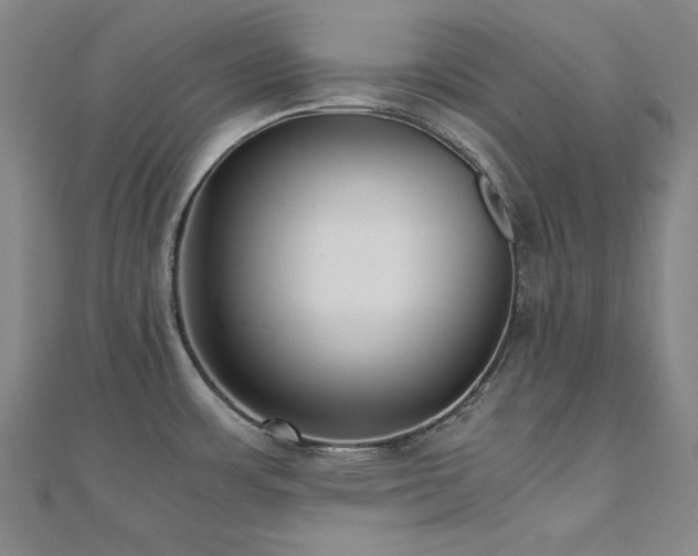 X0000110711483200906121344