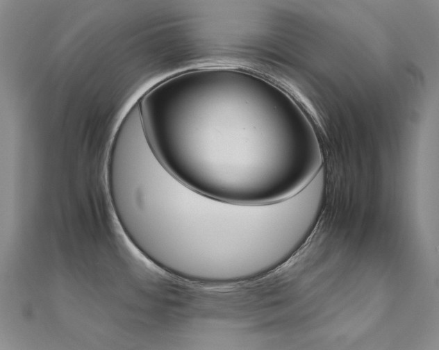 X0000110711484200906121344