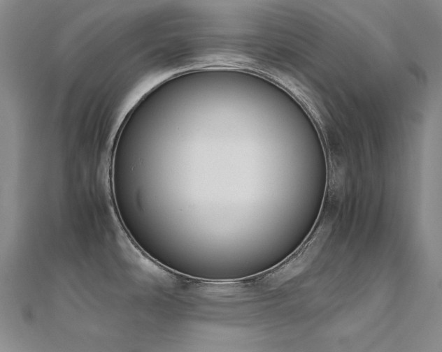X0000110711486200906121344