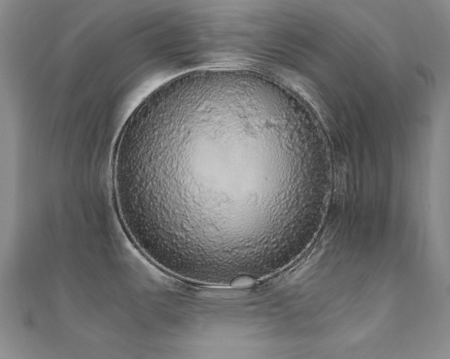 X0000110711487200906121344