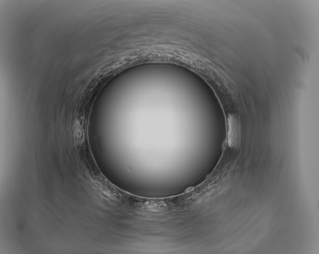 X0000110711491200906121343