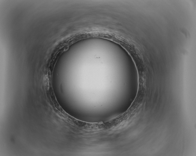 X0000110711493200906121343