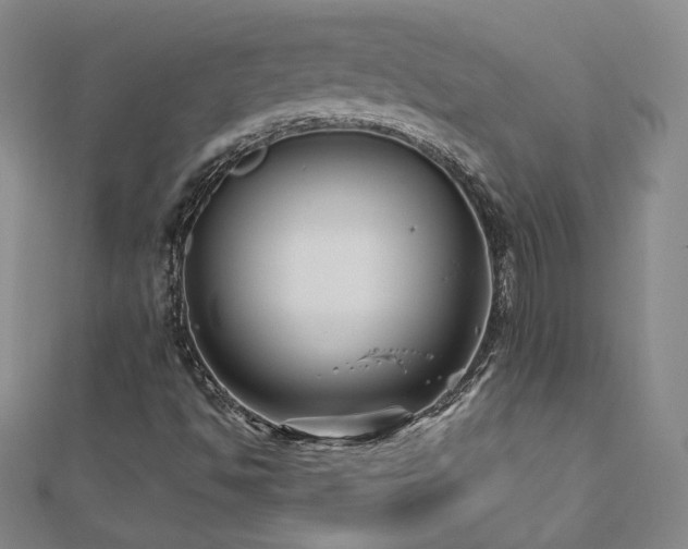 X0000110711494200906121343