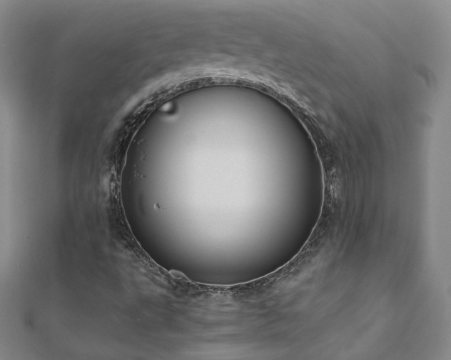 X0000110711495200906121343