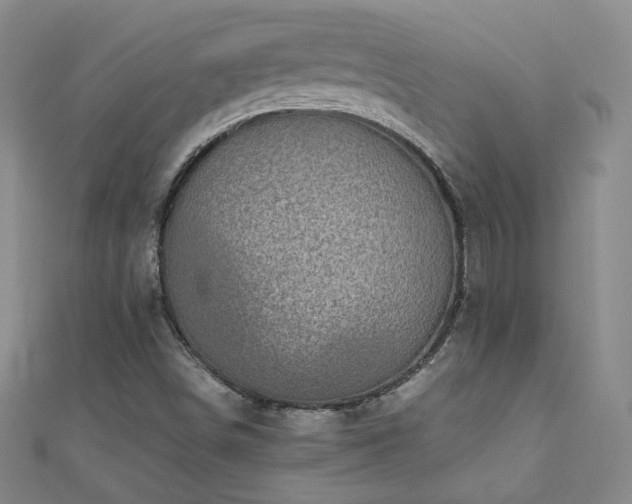 X0000110711498200906121343