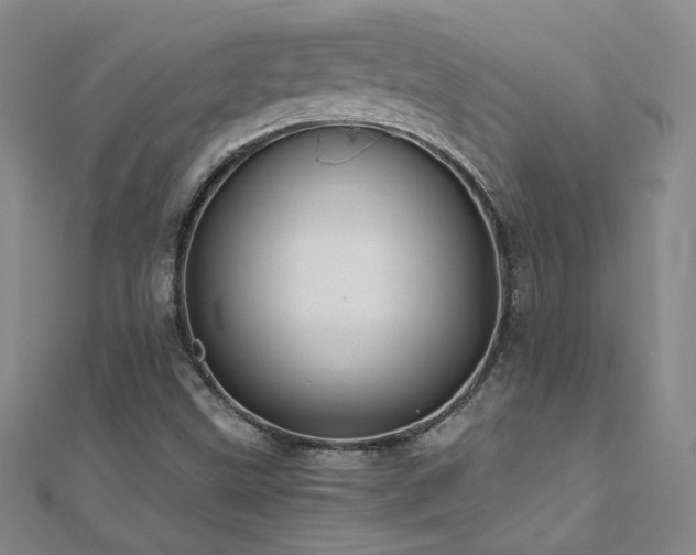 X0000110711499200906121343