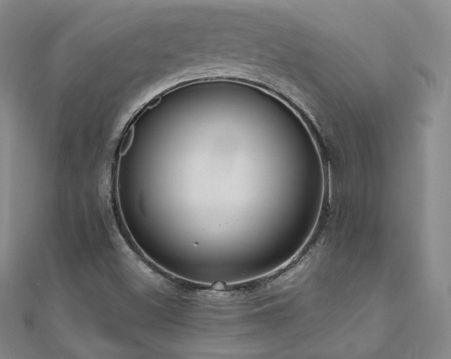 X0000110711500200906121343