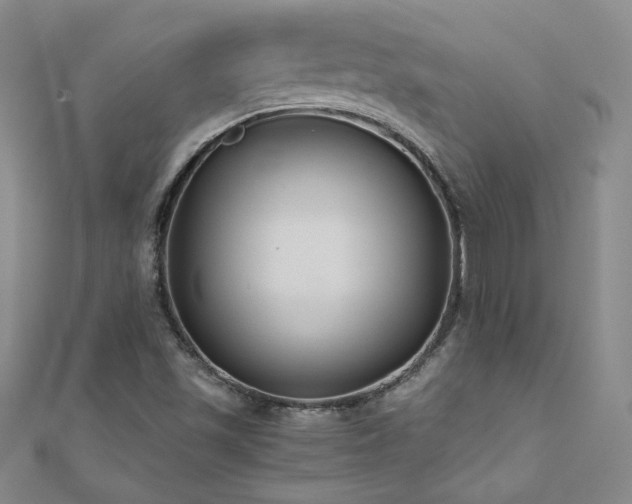 X0000110711501200906121343