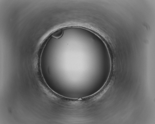 X0000110711502200906121343