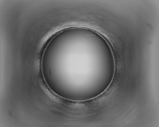 X0000110711503200906121343