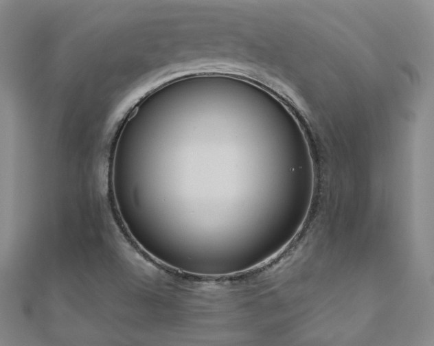 X0000110711504200906121343