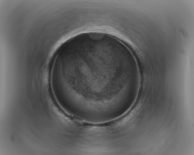 X0000110711506200906121343