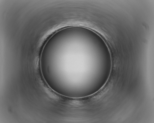 X0000110711507200906121343
