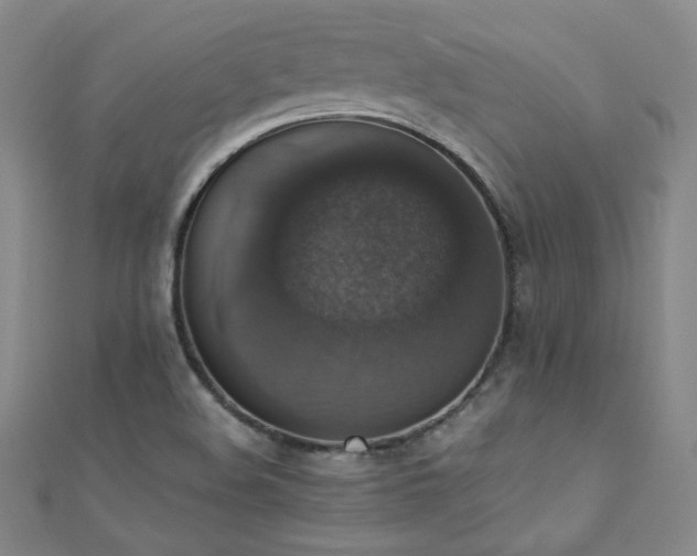 X0000110711508200906121343