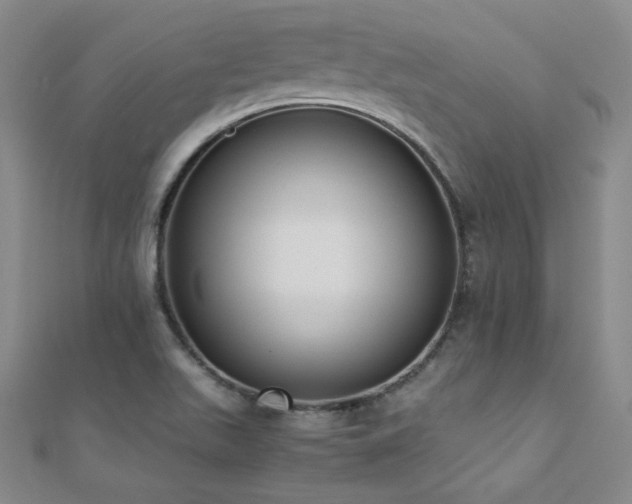 X0000110711511200906121343