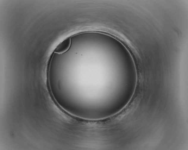 X0000110711512200906121343