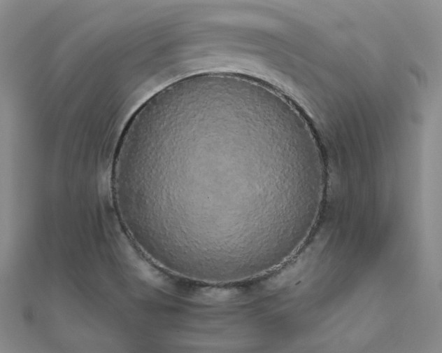 X0000110711513200906121343