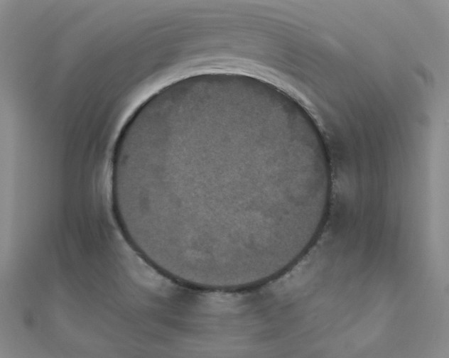 X0000110711514200906121344