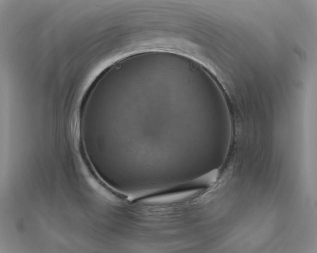 X0000110711515200906121344