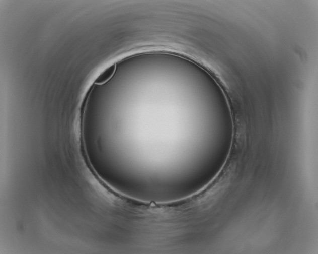 X0000110711516200906121344