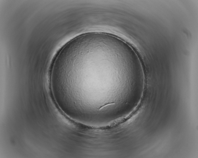 X0000110711517200906121344