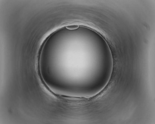 X0000110711518200906121344