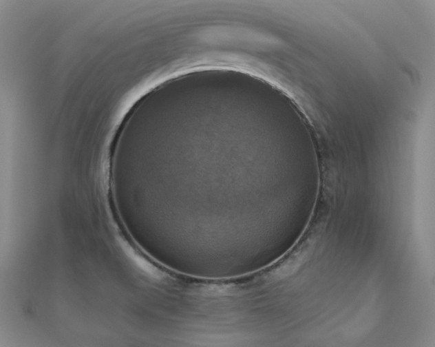 X0000110711519200906121344