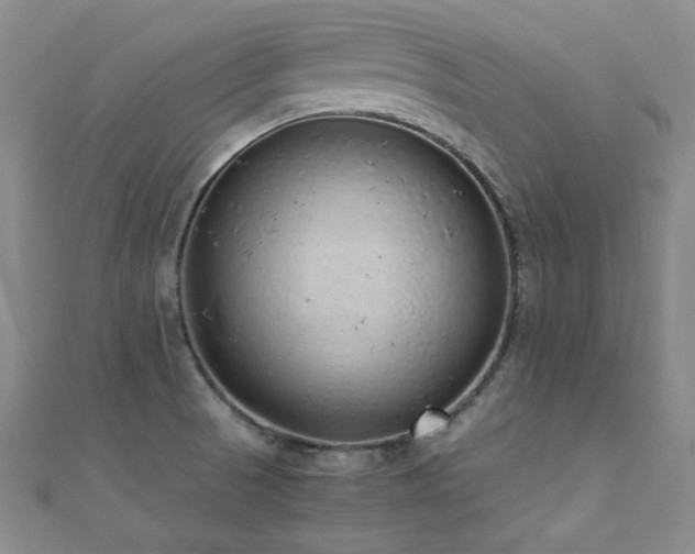 X0000110711521200906121344