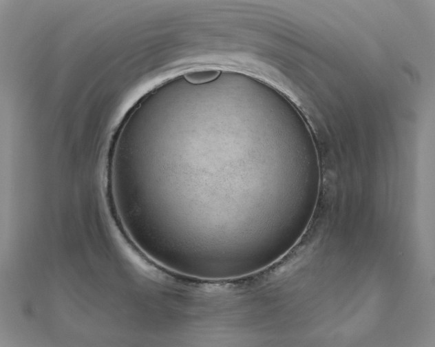 X0000110711523200906121344