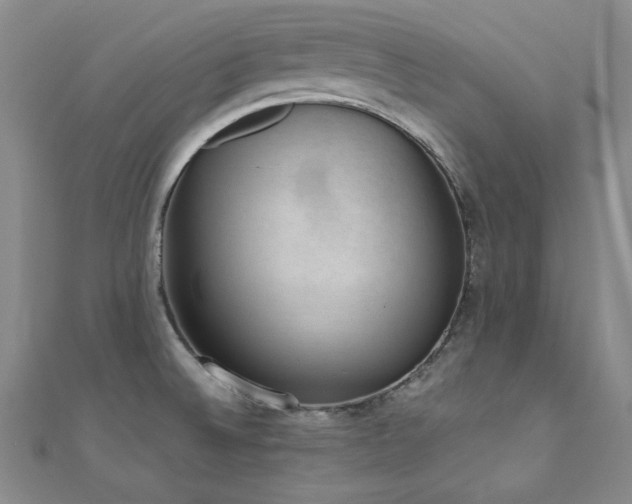 X0000110711524200906121344