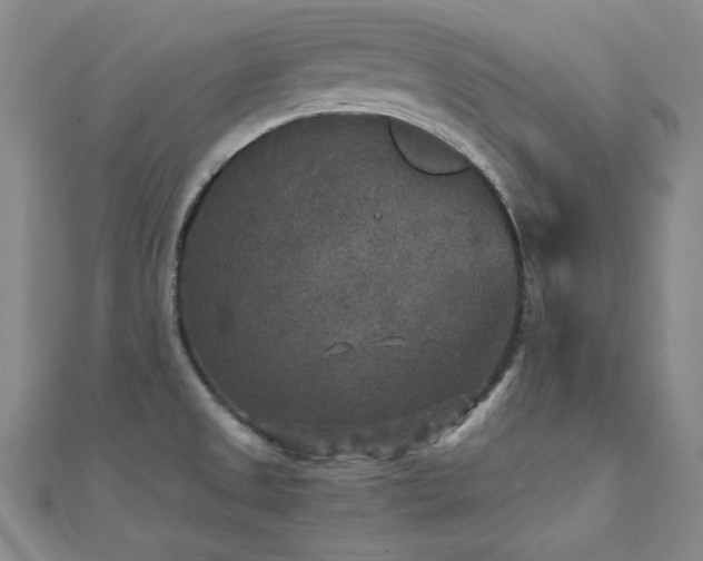 X0000110711525200906121344