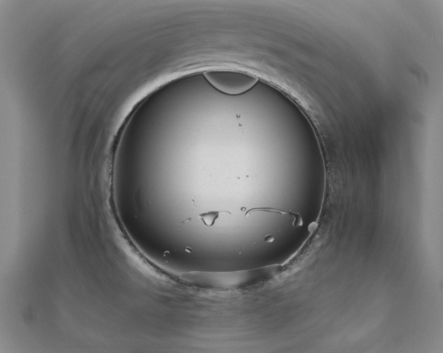 X0000110711526200906121344