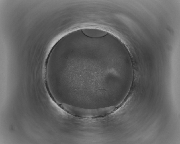 X0000110711527200906121344